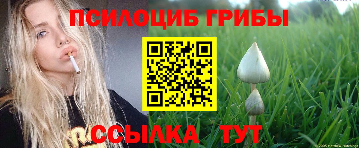 Псилоцибиновые грибы мухоморы  Вход с VPN  купить наркоту  Орёл 